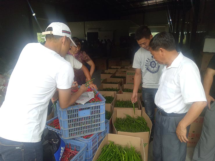 J9集团直营·(中国)官方网站