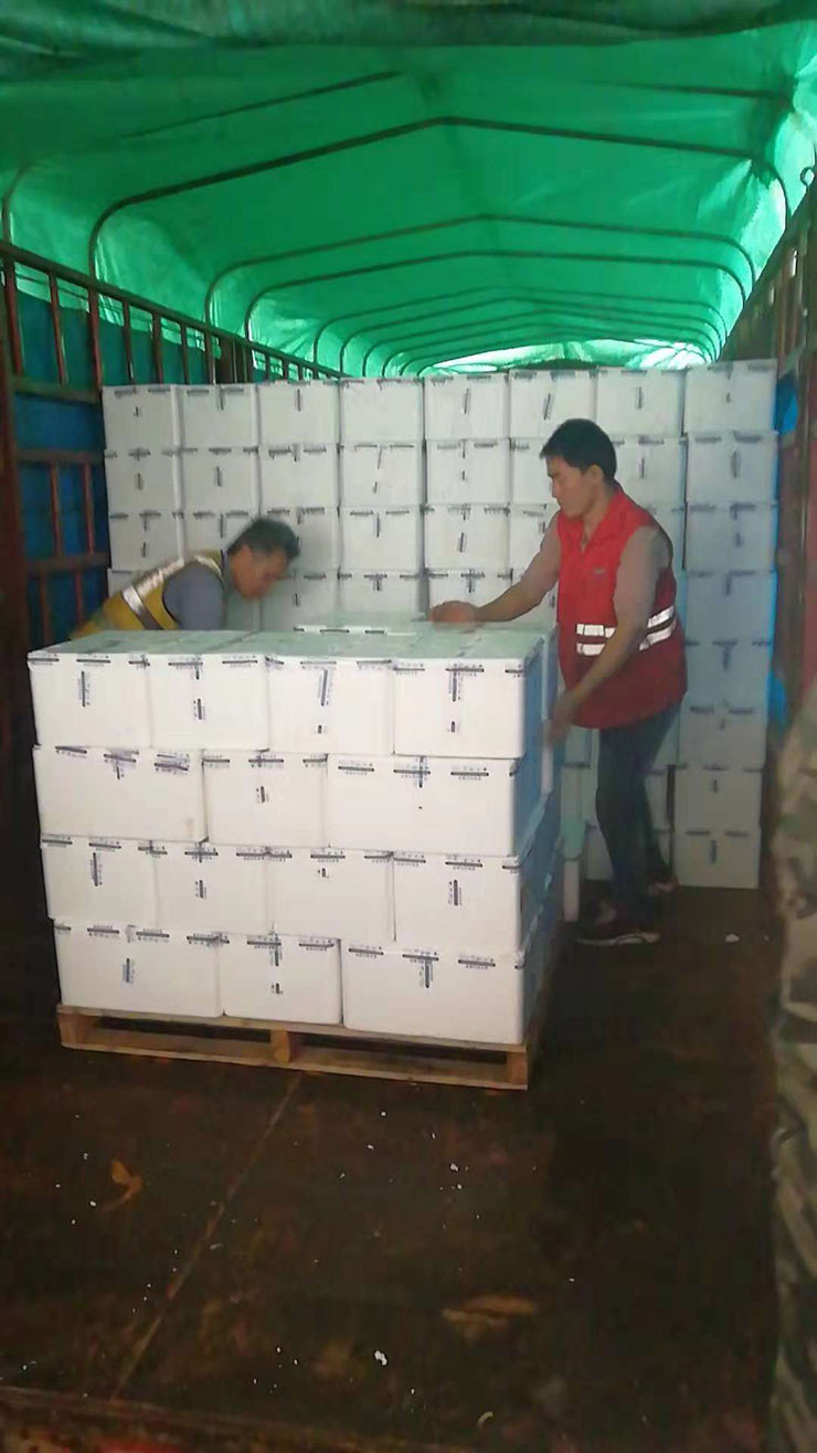 J9集团直营·(中国)官方网站