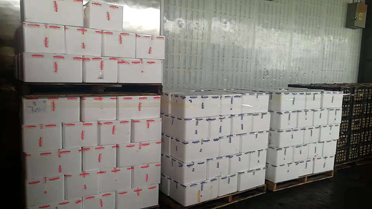 J9集团直营·(中国)官方网站