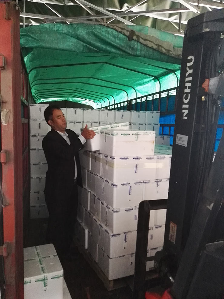 J9集团直营·(中国)官方网站