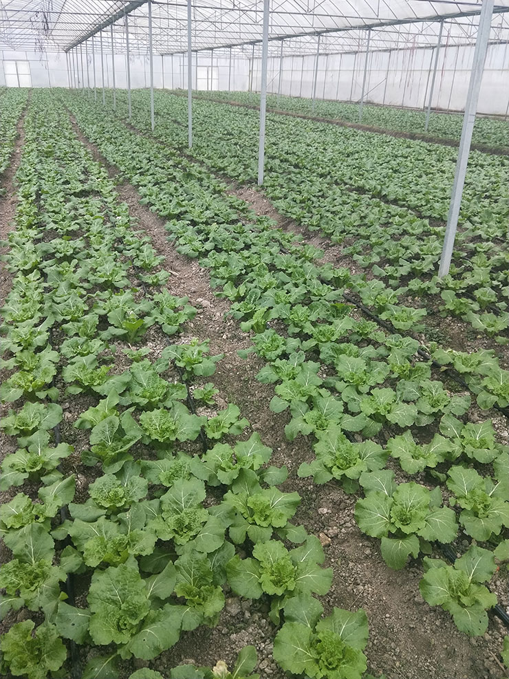 J9集团直营·(中国)官方网站