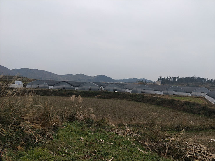 J9集团直营·(中国)官方网站