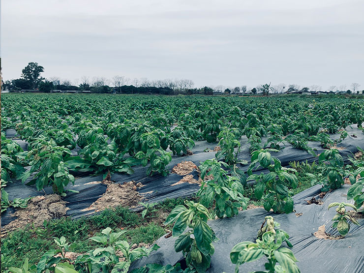 J9集团直营·(中国)官方网站