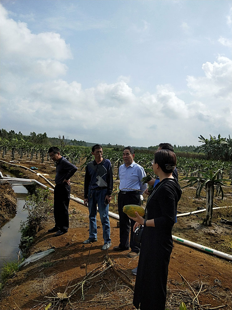 J9集团直营·(中国)官方网站