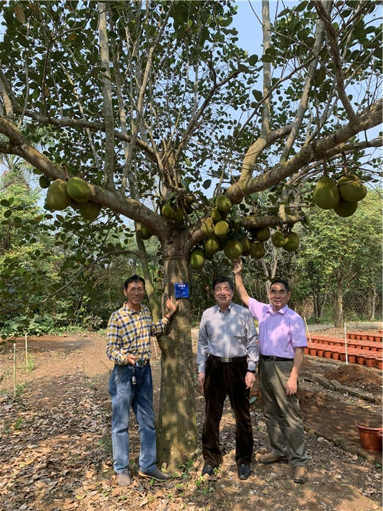 J9集团直营·(中国)官方网站