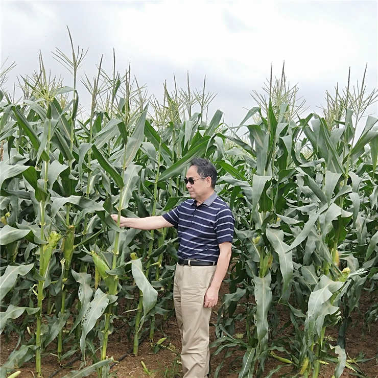 J9集团直营·(中国)官方网站