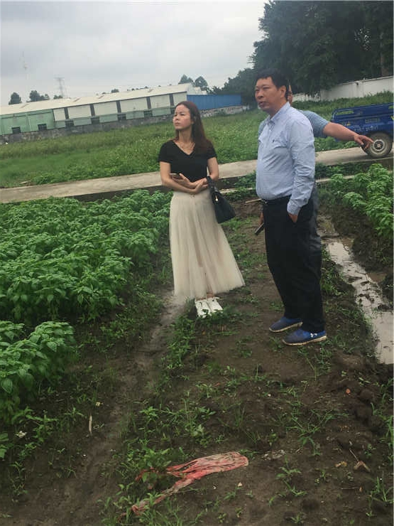 J9集团直营·(中国)官方网站