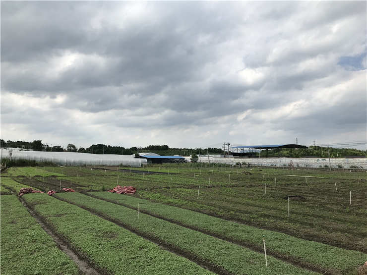 J9集团直营·(中国)官方网站