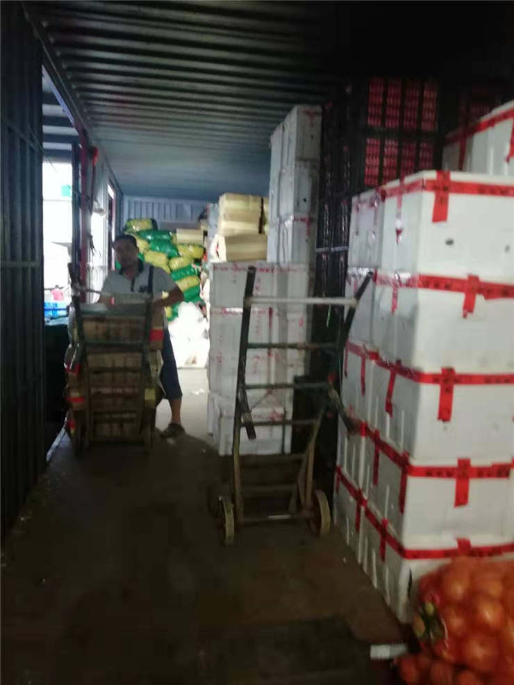 J9集团直营·(中国)官方网站