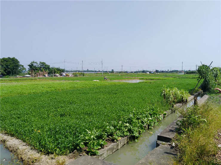 J9集团直营·(中国)官方网站