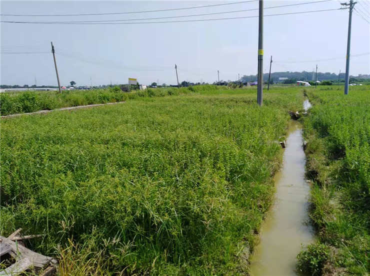 J9集团直营·(中国)官方网站