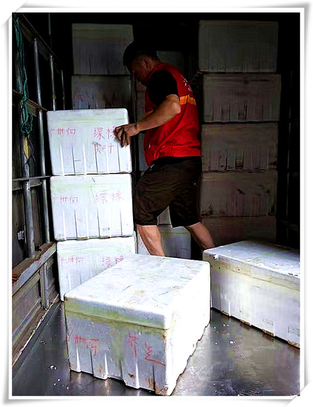 J9集团直营·(中国)官方网站