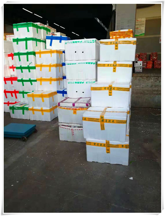 J9集团直营·(中国)官方网站