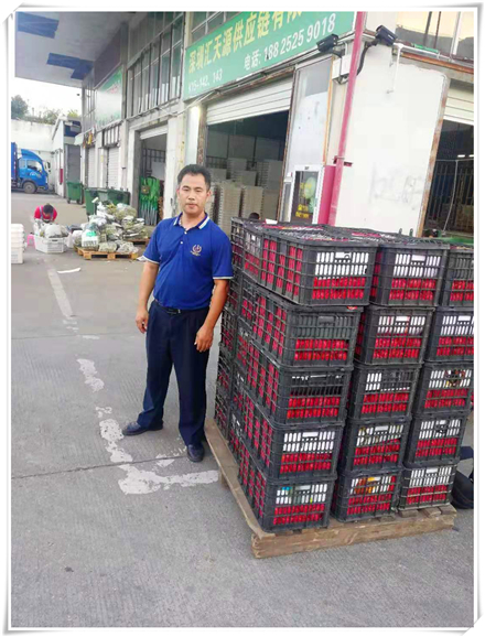 J9集团直营·(中国)官方网站