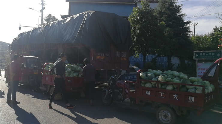 J9集团直营·(中国)官方网站