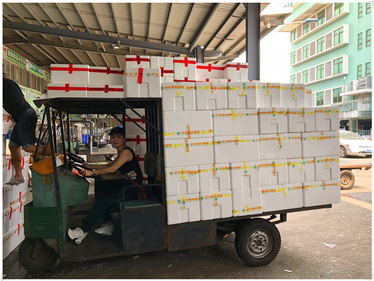 J9集团直营·(中国)官方网站