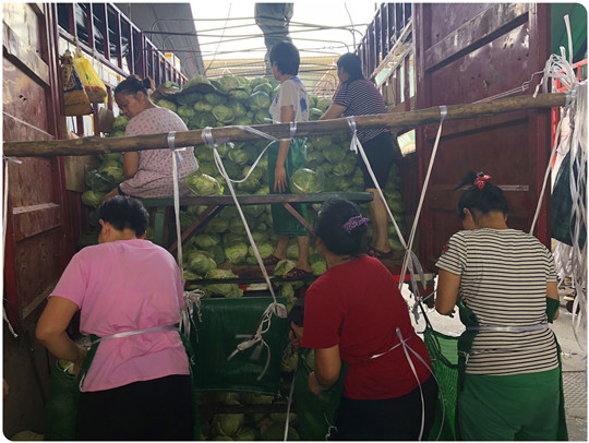 J9集团直营·(中国)官方网站