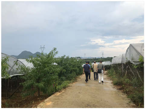 J9集团直营·(中国)官方网站