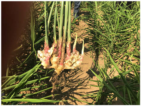 J9集团直营·(中国)官方网站