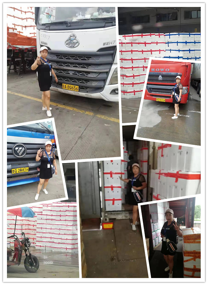 J9集团直营·(中国)官方网站