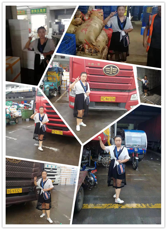 J9集团直营·(中国)官方网站