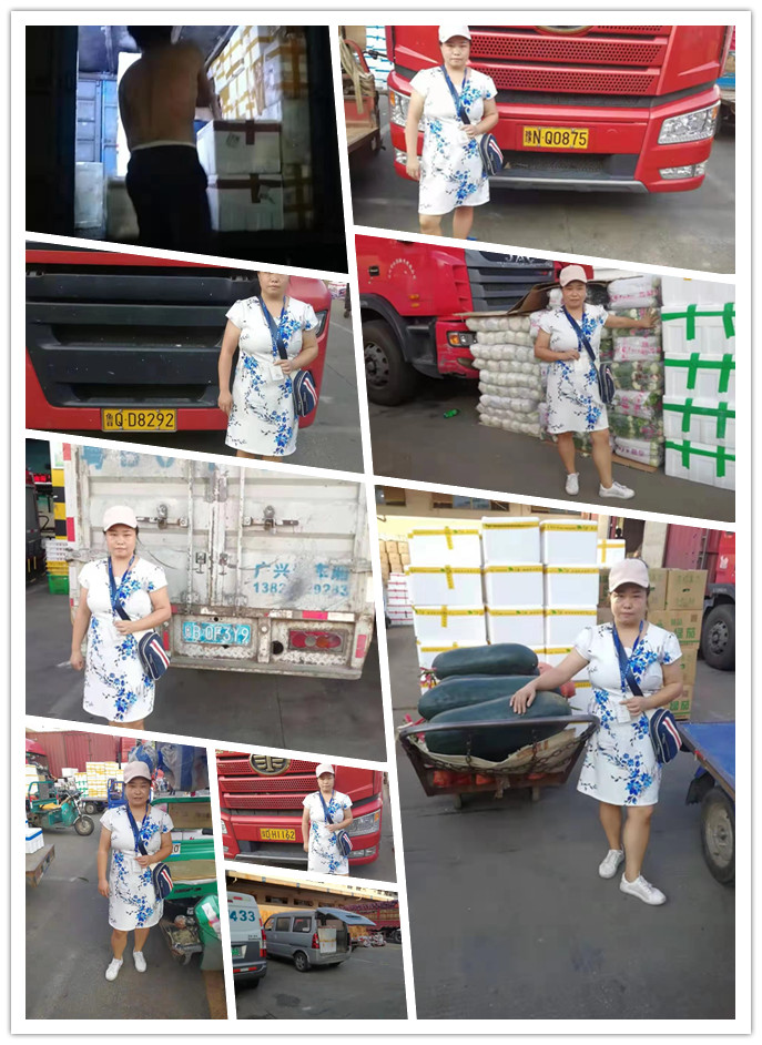 J9集团直营·(中国)官方网站