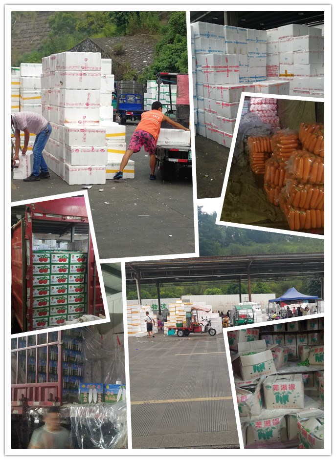 J9集团直营·(中国)官方网站