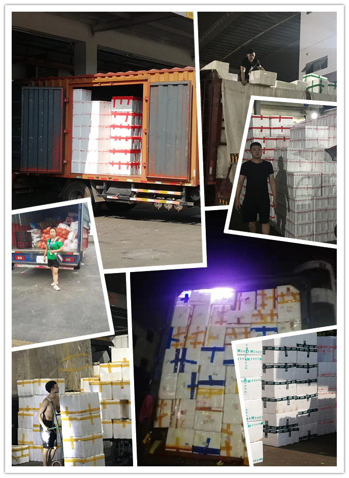 J9集团直营·(中国)官方网站