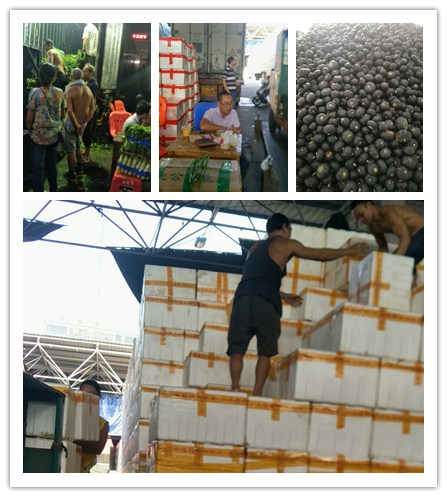 J9集团直营·(中国)官方网站