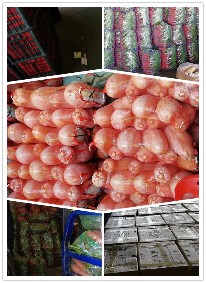 J9集团直营·(中国)官方网站