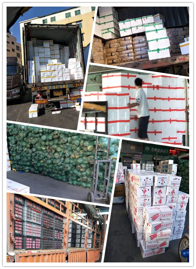 J9集团直营·(中国)官方网站