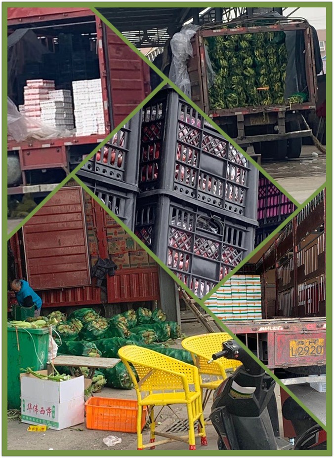 J9集团直营·(中国)官方网站