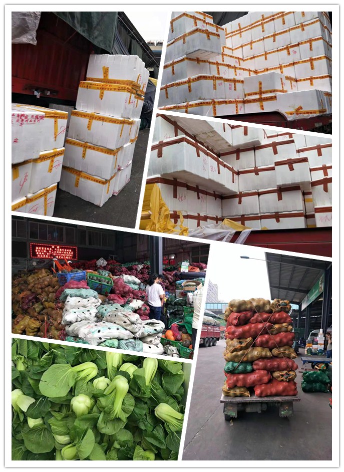 J9集团直营·(中国)官方网站