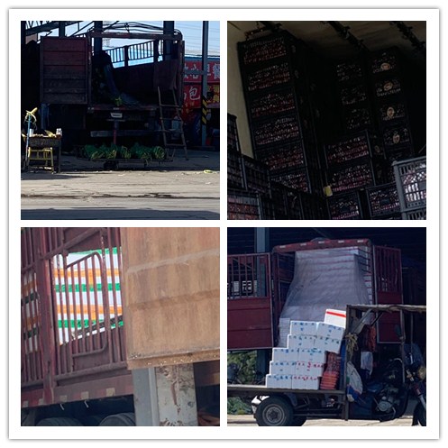 J9集团直营·(中国)官方网站