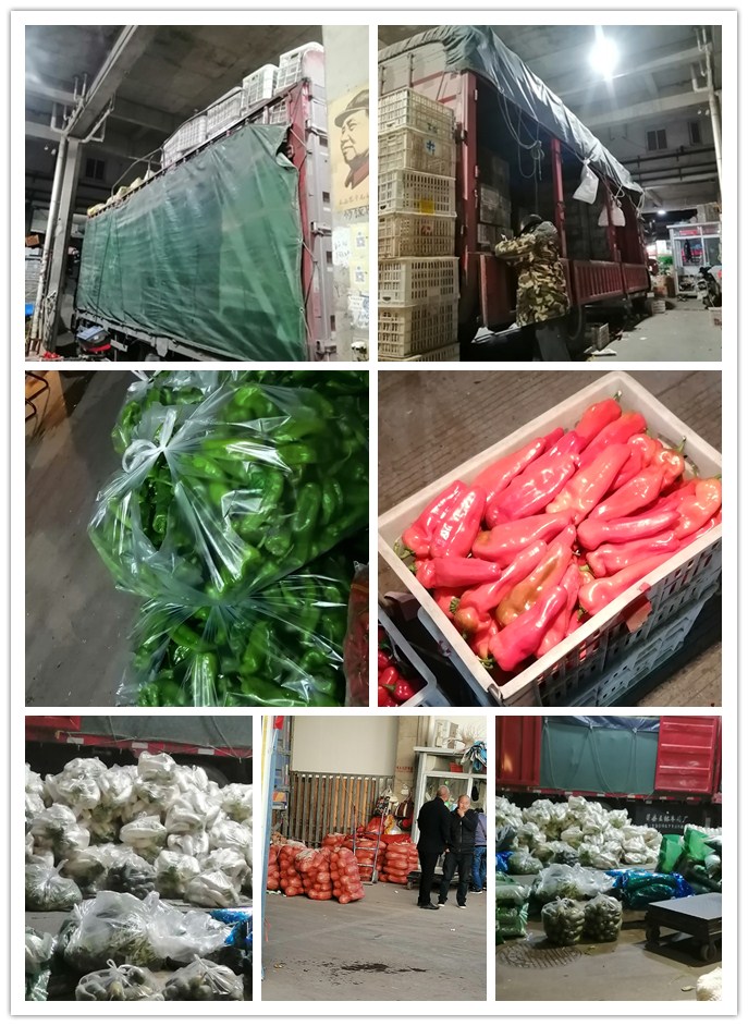 J9集团直营·(中国)官方网站