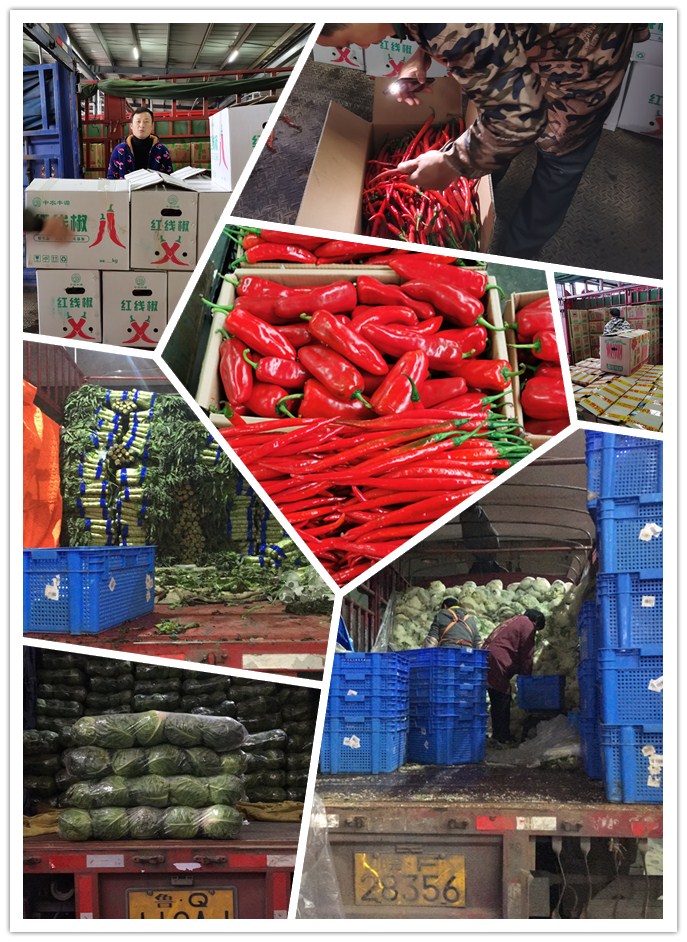 J9集团直营·(中国)官方网站