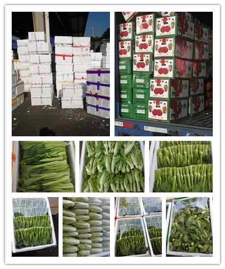 J9集团直营·(中国)官方网站