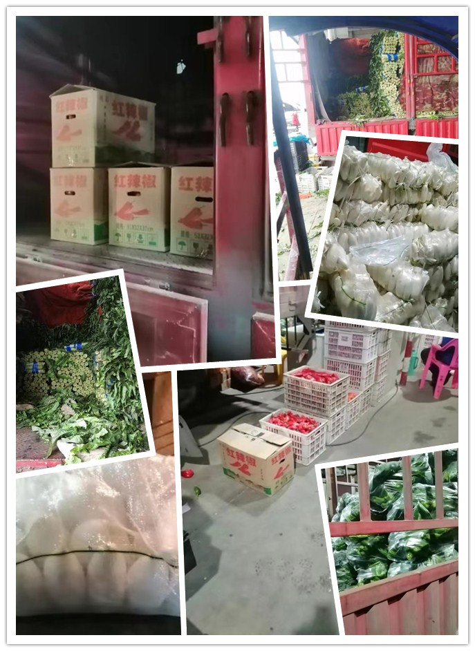 J9集团直营·(中国)官方网站