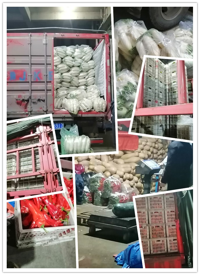 J9集团直营·(中国)官方网站