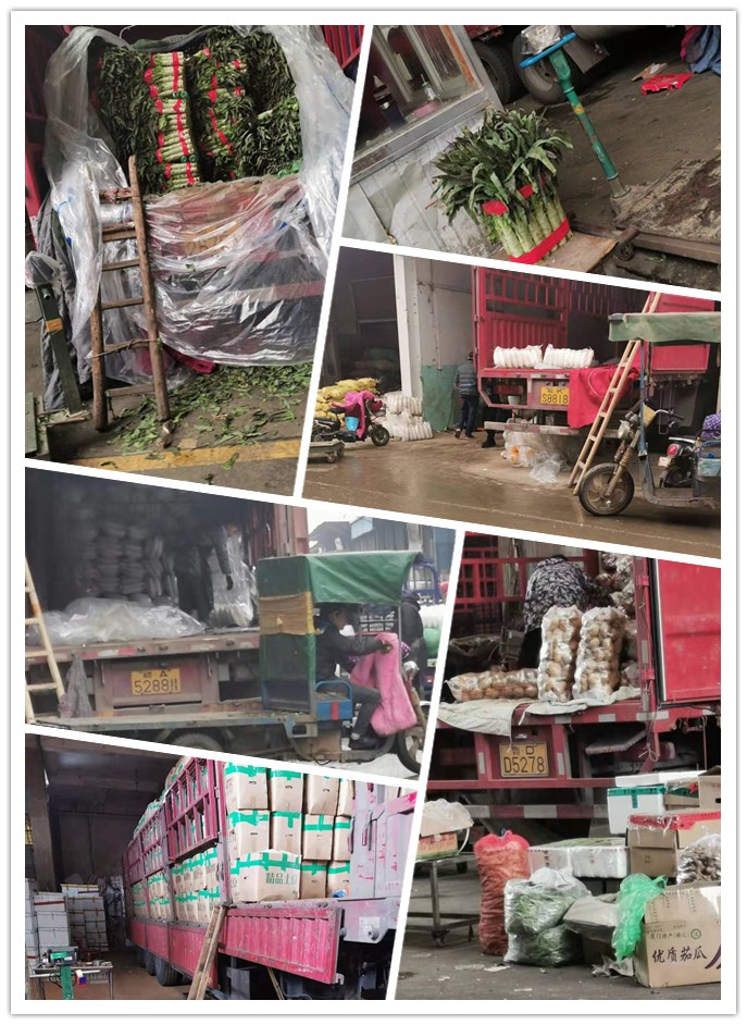 J9集团直营·(中国)官方网站