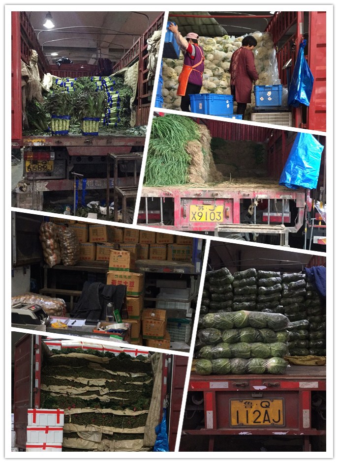 J9集团直营·(中国)官方网站