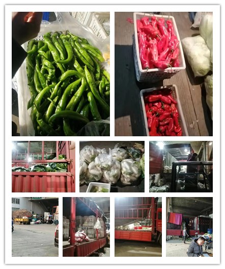 J9集团直营·(中国)官方网站