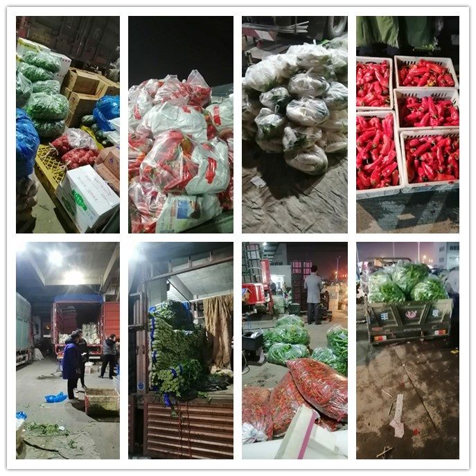 J9集团直营·(中国)官方网站