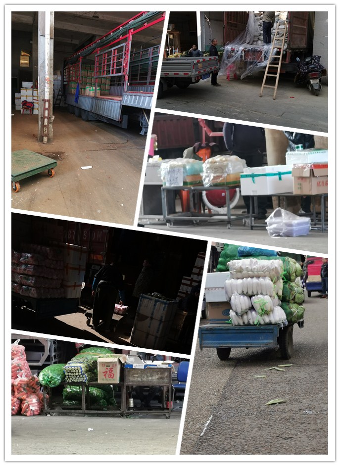 J9集团直营·(中国)官方网站