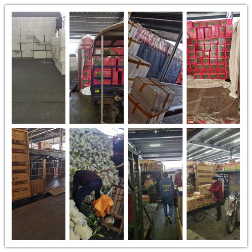 J9集团直营·(中国)官方网站