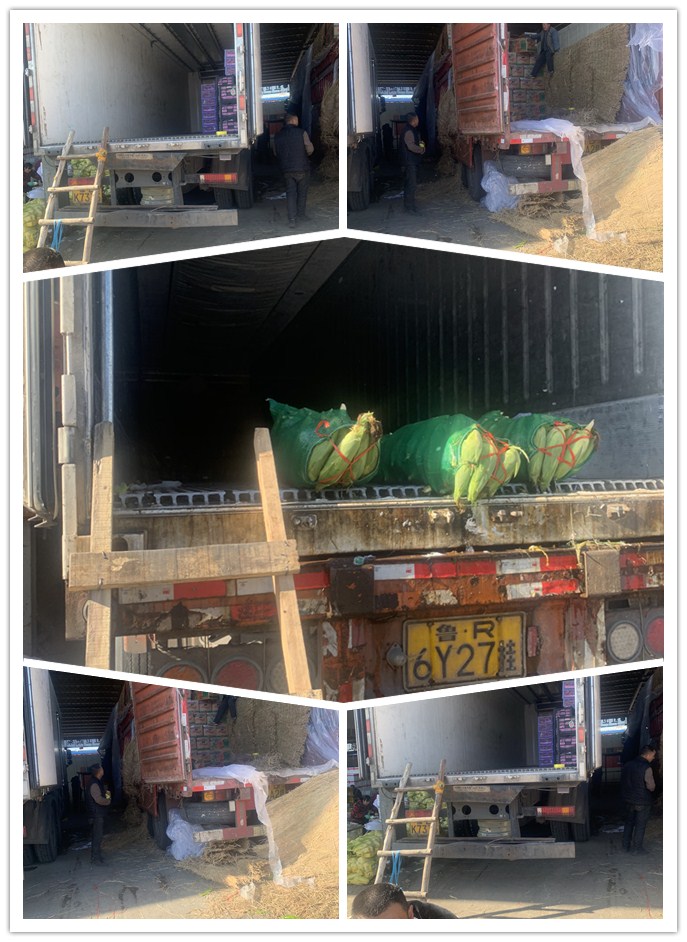 J9集团直营·(中国)官方网站