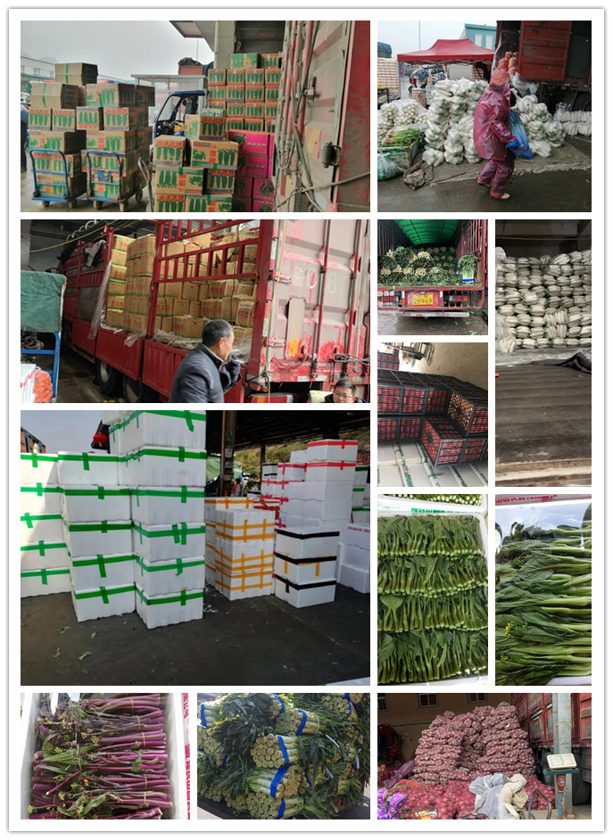 J9集团直营·(中国)官方网站