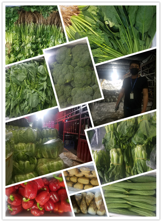 J9集团直营·(中国)官方网站