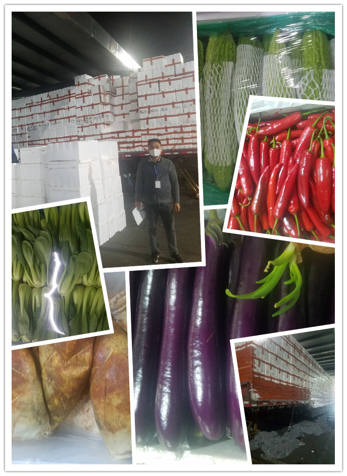 J9集团直营·(中国)官方网站