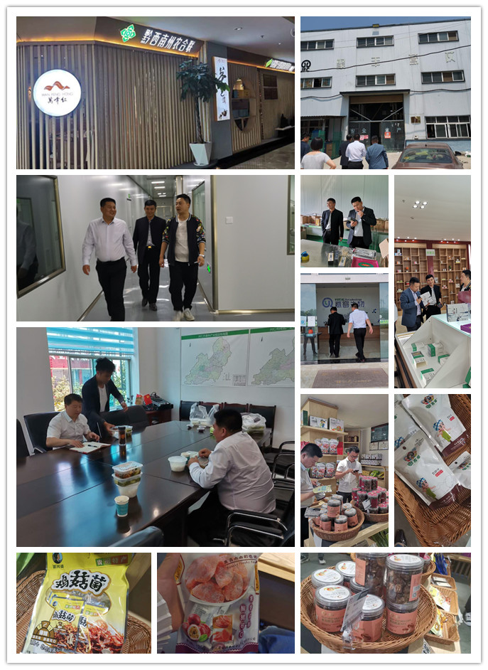 J9集团直营·(中国)官方网站